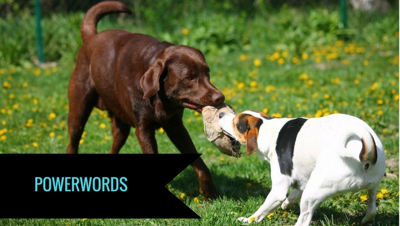 Powerwords er ord, der påvirker læseren på et emotionelt niveau. De sætter gang i følelser, tanker, overvejelser