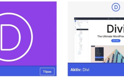 Bruger dit website Divi 4 eller Divi 5